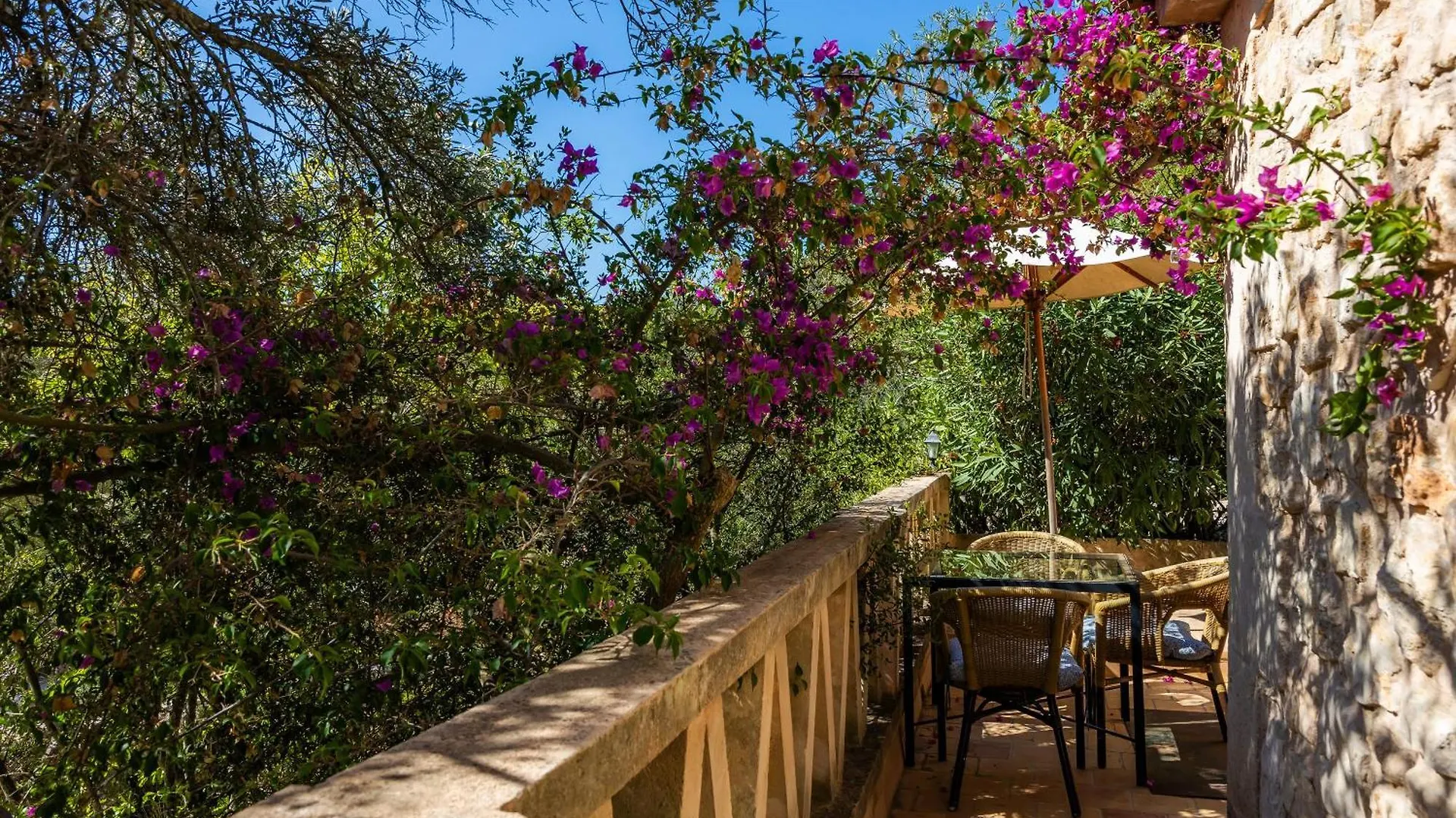 Ses Solls Apartman Petra